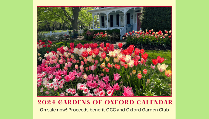 Gardens of Oxford Calendars are here!