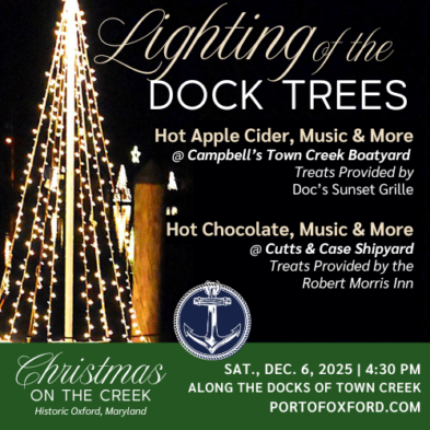 Lighting of the Dock Trees