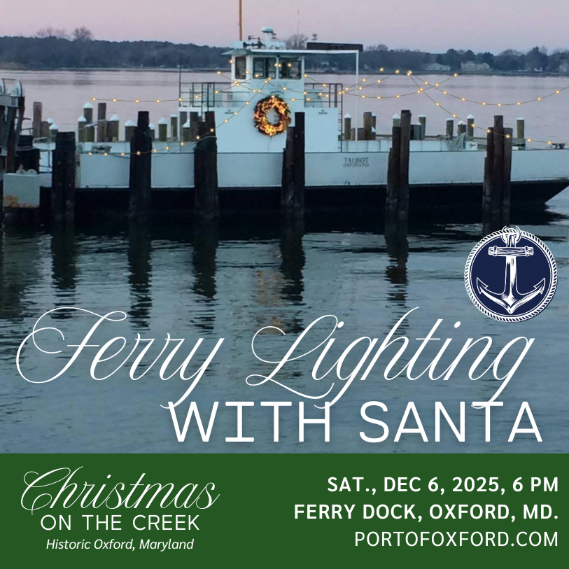 Ferry Lighting with Santa