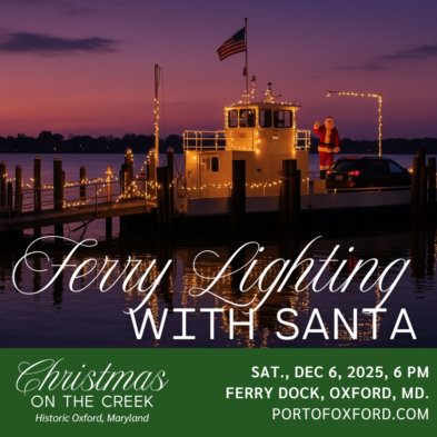 Ferry Lighting with Santa