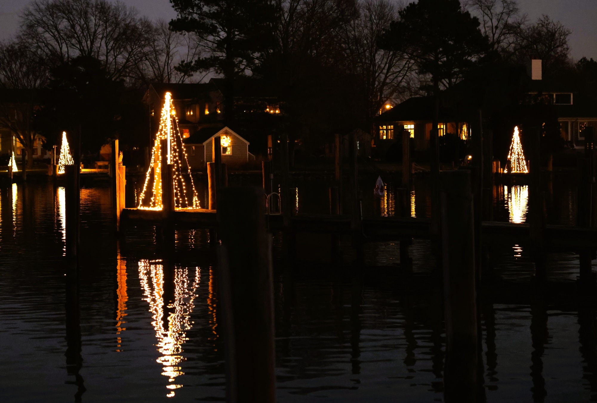 OBA_COTC_Trees_Horiz