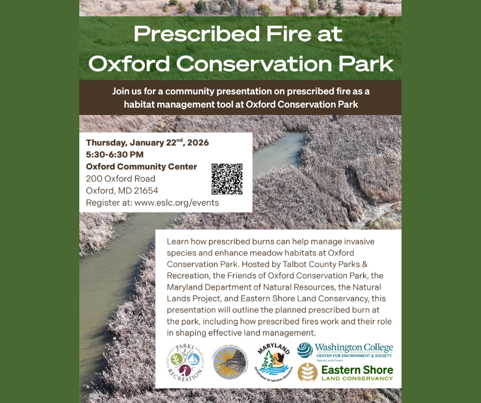 Graphic Prescribed Fire